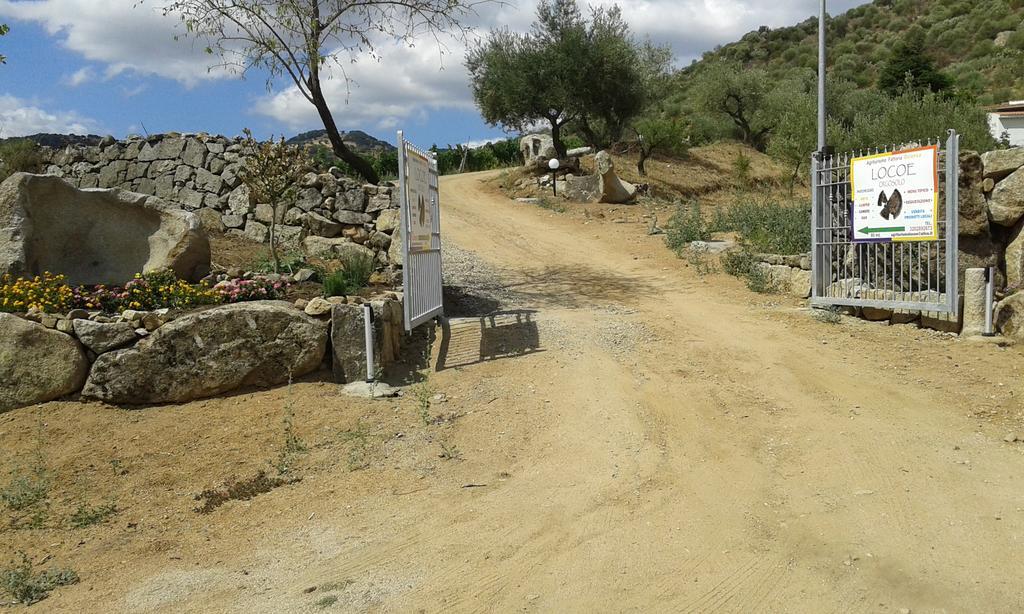 Agriturismo Locoe Oliena Exteriér fotografie