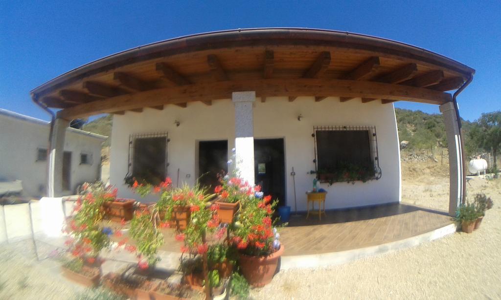 Agriturismo Locoe Oliena Exteriér fotografie
