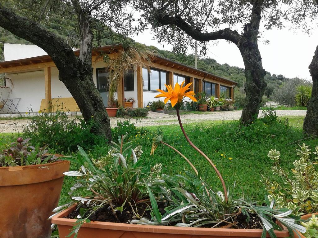 Agriturismo Locoe Oliena Exteriér fotografie
