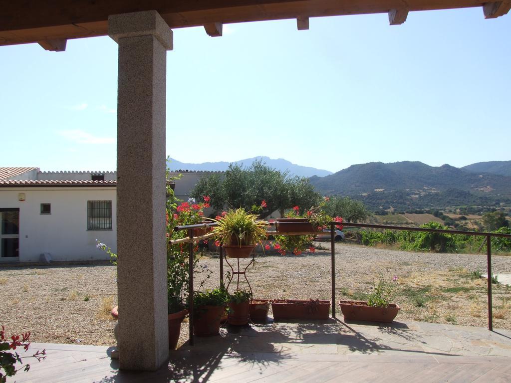 Agriturismo Locoe Oliena Exteriér fotografie